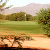 Bougainvillea GC
