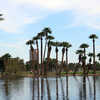 Encanto Golf Course Lagoon